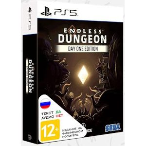 Endless Dungeon - Day One Edition PS5, русские субтитры