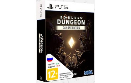 Endless Dungeon - Day One Edition PS5, русские субтитры