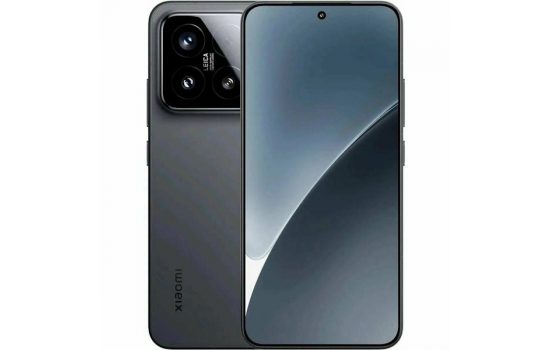 Xiaomi 15 12/256Gb Black